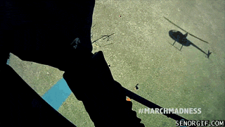 Bewegter Picturedump 376