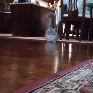 Bewegter Picturedump 276