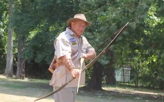 Bewegter Picturedump 337