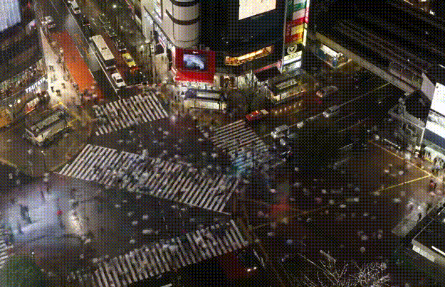 Bewegter Picturedump 337