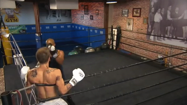 Bewegter Picturedump 337