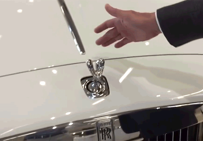 Bewegter Picturedump 337