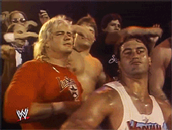 Bewegter Picturedump 250