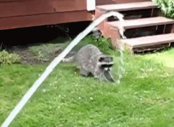 Bewegter Picturedump 359