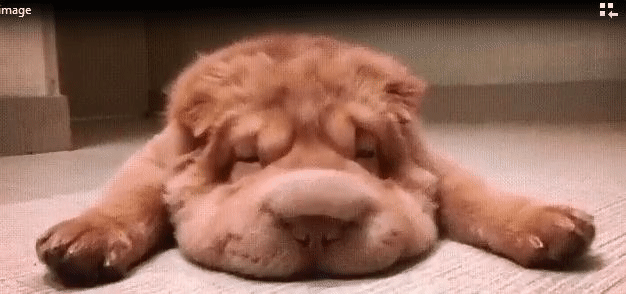 Bewegter Picturedump 359