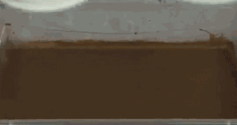 Bewegter Picturedump 259