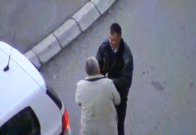 Bewegter Picturedump 259