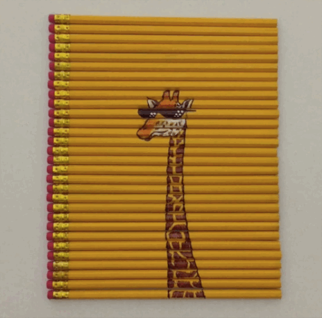 Bewegter Picturedump 259