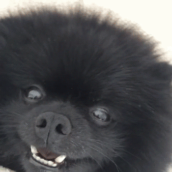 Bewegter Picturedump 224