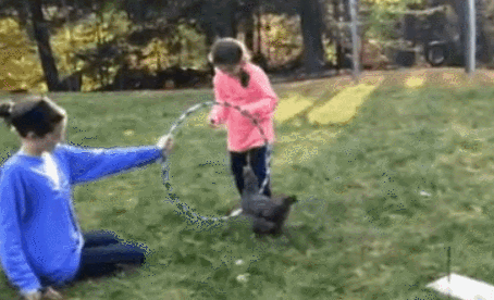 Bewegter Picturedump 298