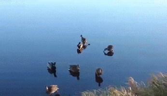 Bewegter Picturedump 298