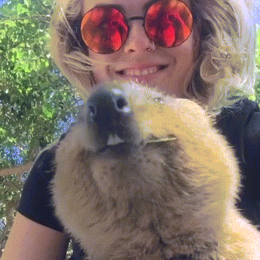 Bewegter Picturedump 298