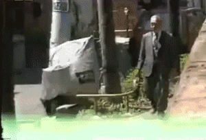 Bewegter Picturedump 207