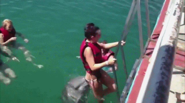 Bewegter Picturedump 385