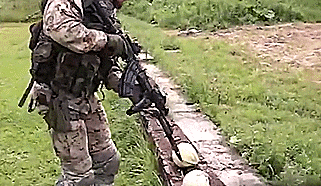 Bewegter Picturedump 386