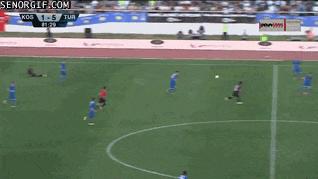 Bewegter Picturedump 386