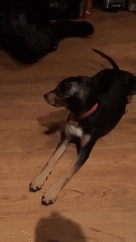 Bewegter Picturedump 386