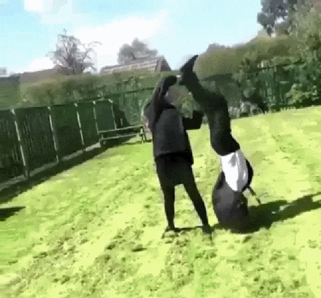 Bewegter Picturedump 386