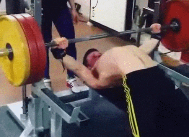 Bewegter Picturedump 386