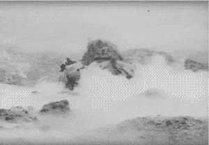 Bewegter Picturedump 386