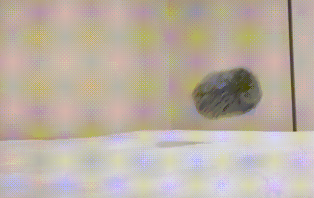 Bewegter Picturedump 386