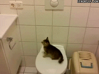 Bewegter Picturedump 386