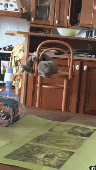 Bewegter Picturedump 394