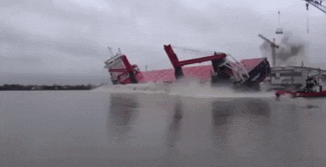 Bewegter Picturedump 394