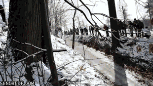 Bewegter Picturedump 394