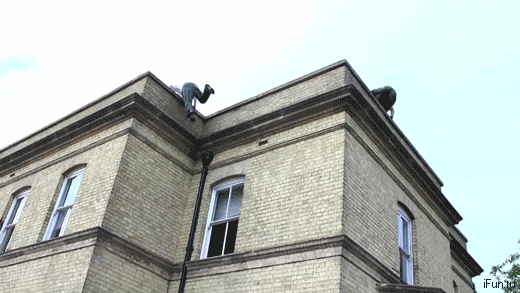 Bewegter Picturedump 394