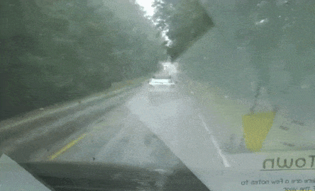 Bewegter Picturedump 394