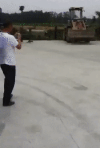 Bewegter Picturedump 446