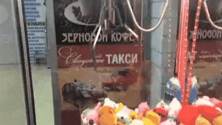 Bewegter Picturedump 446