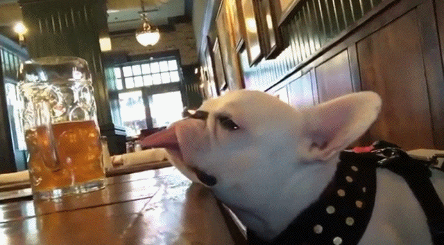 Bewegter Picturedump 446