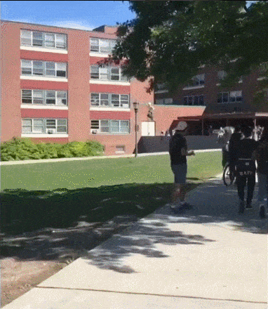 Bewegter Picturedump 446