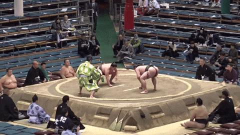 Bewegter Picturedump 446