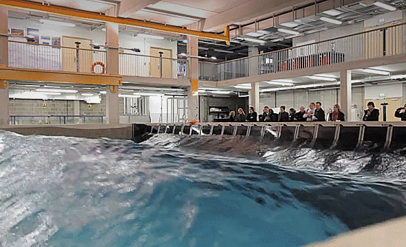 Bewegter Picturedump 346