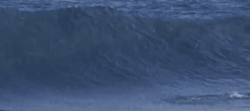 Bewegter Picturedump 346