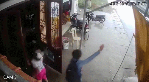 Bewegter Picturedump 346