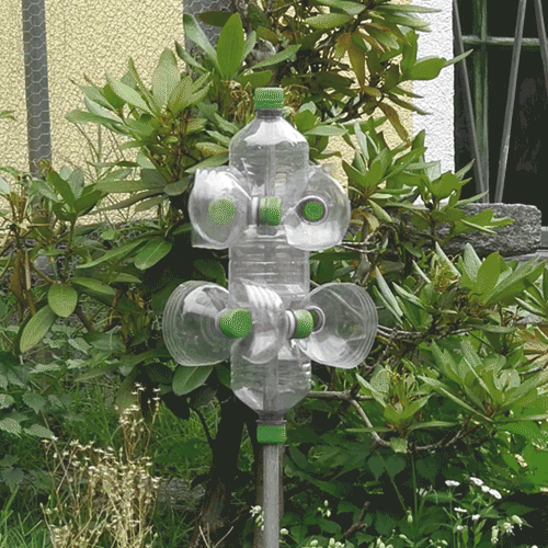 Bewegter Picturedump 320