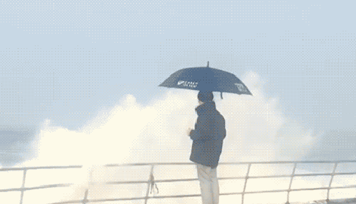 Bewegter Picturedump 320