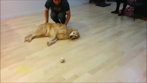 Bewegter Picturedump 320