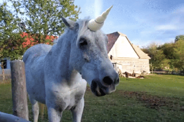 Bewegter Picturedump 320