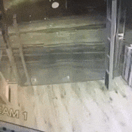 Bewegter Picturedump 272