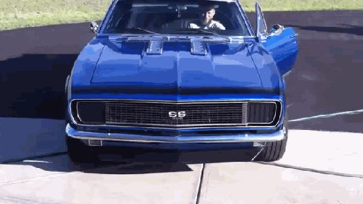 Bewegter Picturedump 433