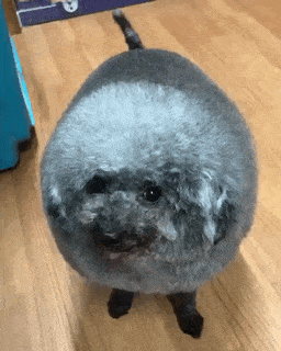 Bewegter Picturedump 433