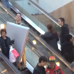 Bewegter Picturedump 433