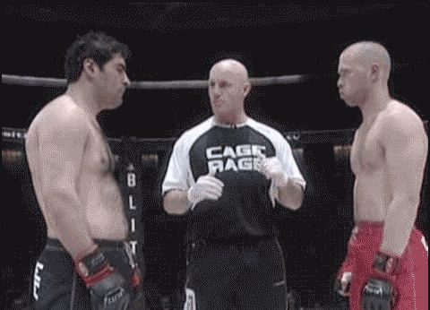 Bewegter Picturedump 433