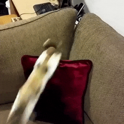 Bewegter Picturedump 433