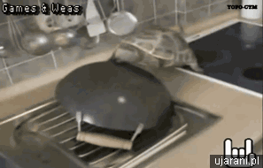 Bewegter Picturedump 233